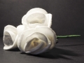 IMG-20200421-WA0001